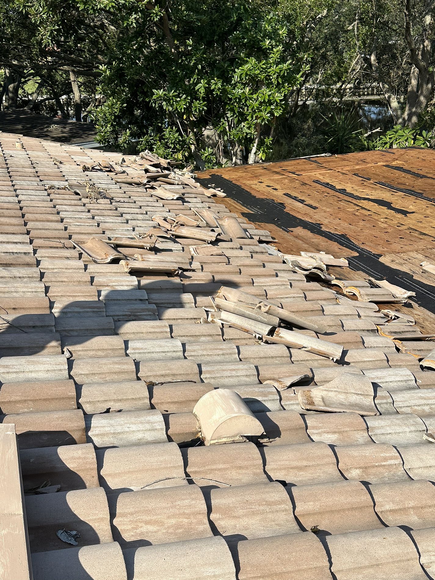 Storm Damage Roof Repair St Petersburg