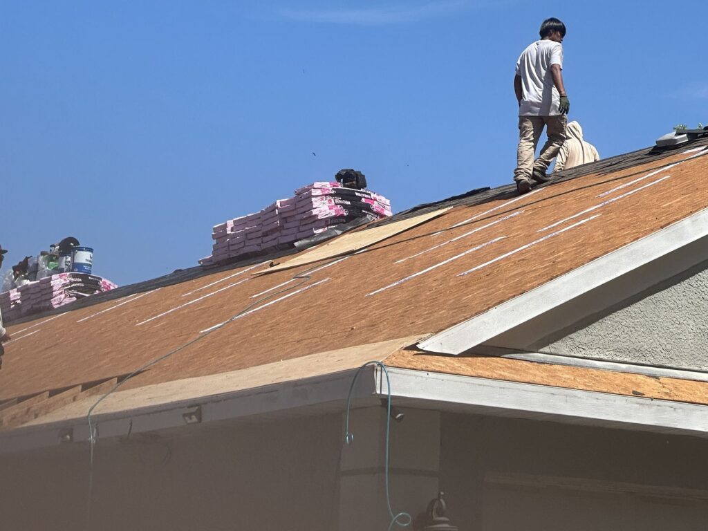 Storm Damage Roof Repair St Petersburg